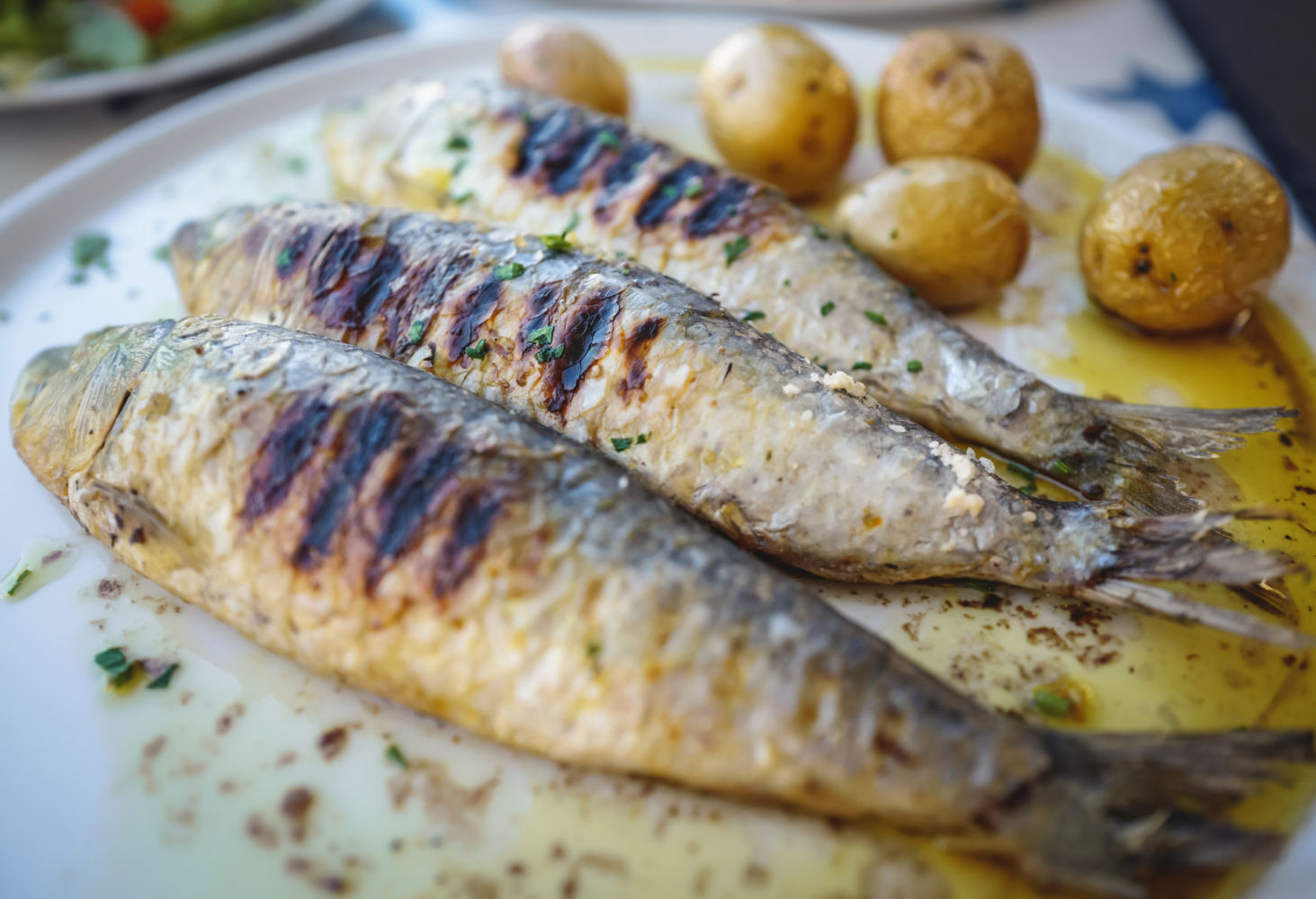 Skewered Sardines – Guía Gastronómica de Málaga
